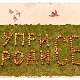 Уприродисе – Тара