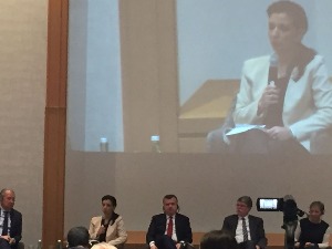 Тепићева на скупу социјалдемократа у Бечу: И земље кандидати треба да бирају европосланике