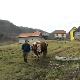 Рашко из Горњих Караклија, прави горштак са Таре