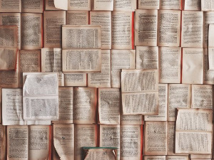 У друштву песника - Песме Весне Парун - Горица Поповић