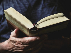 У друштву песника - Стихови Леополда Сенгора - Владимир Мијушковић