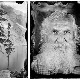 Дивљи запад: Заборављена историја	