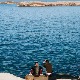 Планински морепловац