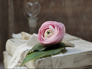 	У друштву песника - Песме Блажа Конеског - Милутин Бутковић 