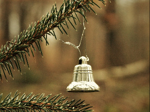  Сребрни звончићи 