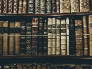 У друштву песника - Стихови модерних америчких песника - Неда Спасојевић, Богдан Михајловић