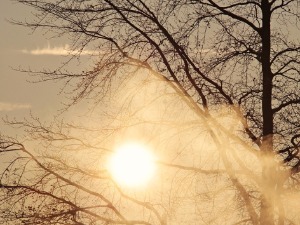 Пролећне температуре последње недеље у години