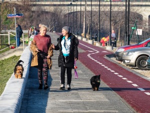 И данас натпросечно топло, сунчано у већем делу земље