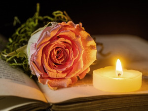  У друштву песника - Песме Драгана Колунџије - Милош Жутић 