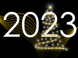  Новогодишња чаролија - 2. део, р. 