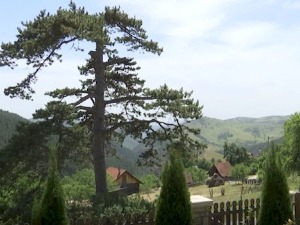 Еко перспективе: Извештај о стању планете