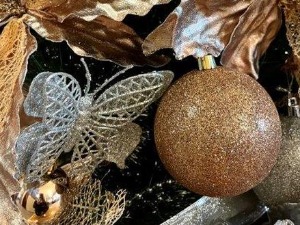 Еко перспективе - Стиже нова година