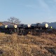 Вагон-цистерна код Зајечара подигнута на колосек, сутра се очекује успостављање саобраћаја