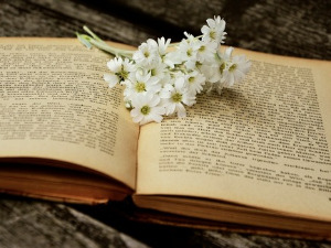 У друштву песника - Песме Милоша Комафдине - Данило Срећковић