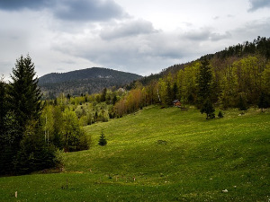 Компас - Србија 