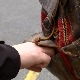 Гужве пред празнике најбоља прилика за џепароше – стручњаци саветују како да се заштитимо