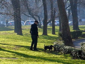 Новогодишње пролеће се наставља – сунчано и топло до 18 степени