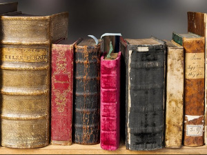 	У друштву песника - Гетеове песме - Гојко Антић 