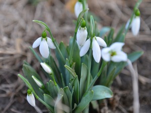 Топло до краја седмице, само данас мало свежије