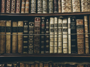  У друштву песника - Стихови Руских Симболиста - Милан Пузић 