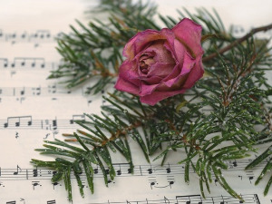  Чаробни вокали 