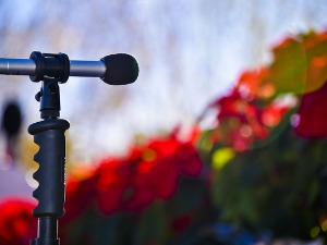  Светлости позорнице 