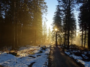 Ђурђевић: Пред нама су најтоплије године до сада, вест ће бити да је пао снег