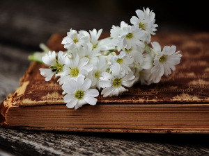 У друштву песника - Вук Крњевић, Циклус умир крви - Зоран Петровић 