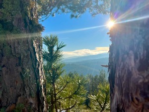 После магловитог јутра претежно сунчано и топлије