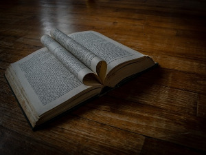  У друштву песника - Стихови песникиња америчких црнаца - Јелена Глишић 