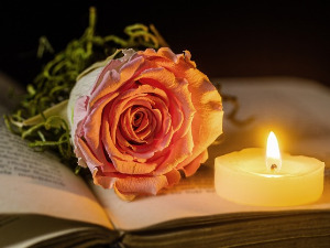 У друштву песника - Песме о Београду - Марија Славковић, Душан Марковић... 