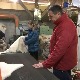 Ћурчијски занат уме да уђе под кожу, али мало је мајстора