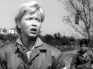 Прекобројна