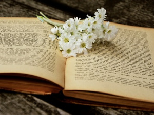 	У друштву песника - Шпански песници генерације 27 - Зоран Петровић