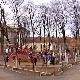 Алиментациони фонд у Србији, идеја стара деценију – докле се стигло у реализацији 