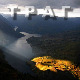 Траг: Баја – живот кроз песму