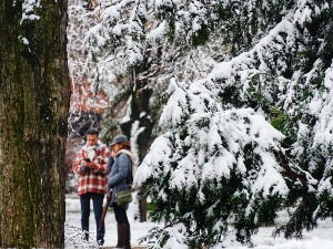 РХМЗ издао упозорење, снажан ветар и мећава на планинама