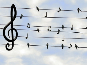  Ритам звезда - Одабрани дуети 