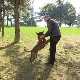 У српском спасилачком тиму у Турској и пас Зиги - шта му све отежава претрагу рушевина