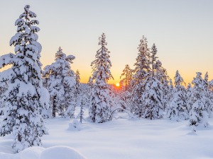 Јутарњи мраз уз зубато сунце, у најтоплијем делу дана један степен изнад нуле