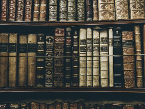  У друштву песника - Песме Паула Целана - Владислав Мијушковић 