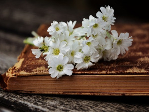 	У друштву песника - Песме Јоханеса Бобровског - Милутин Бутковић