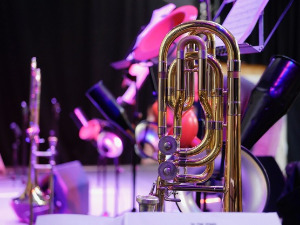  Свеци марширају 