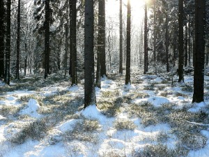 Јутарњи мраз замениће топли ваздух са запада