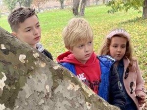 Еко минијатуре - срећна планета: Орао крсташ