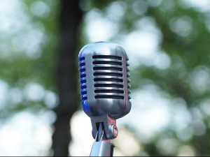  Гласне жице 