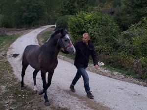 Квадратура круга-Нема више мог мркова, ни ергеле на Борикама