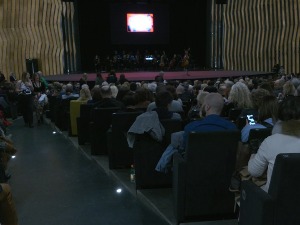 Иза кулиса Феста вредно ради преко сто посвећених професионалаца