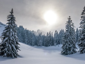 Облачно и суво, на планинама снег - температура до 12 степени