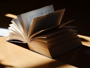 У друштву песника 